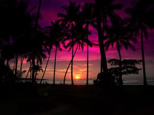 indie chill sunset playlist showing a sun going down in front of a red and purple sky